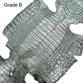 Metallic Caiman Crocodile - only 5 per color | Sale