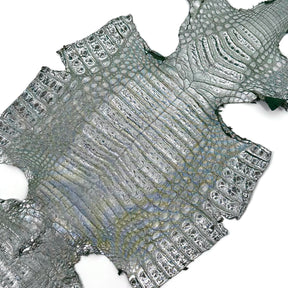 Metallic Caiman Crocodile - only 5 per color | Sale