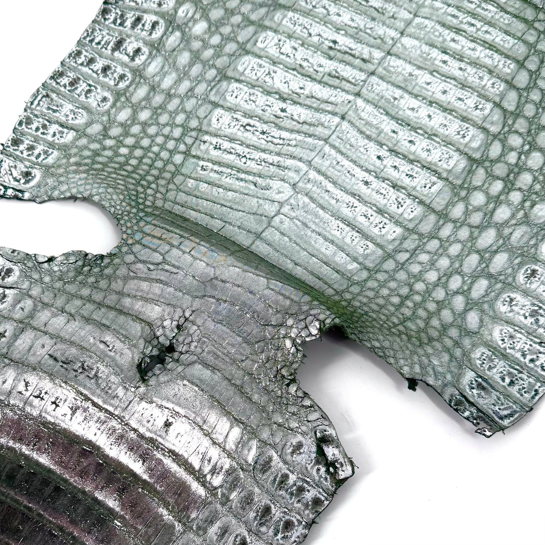 Metallic Caiman Crocodile - only 5 per color | Sale