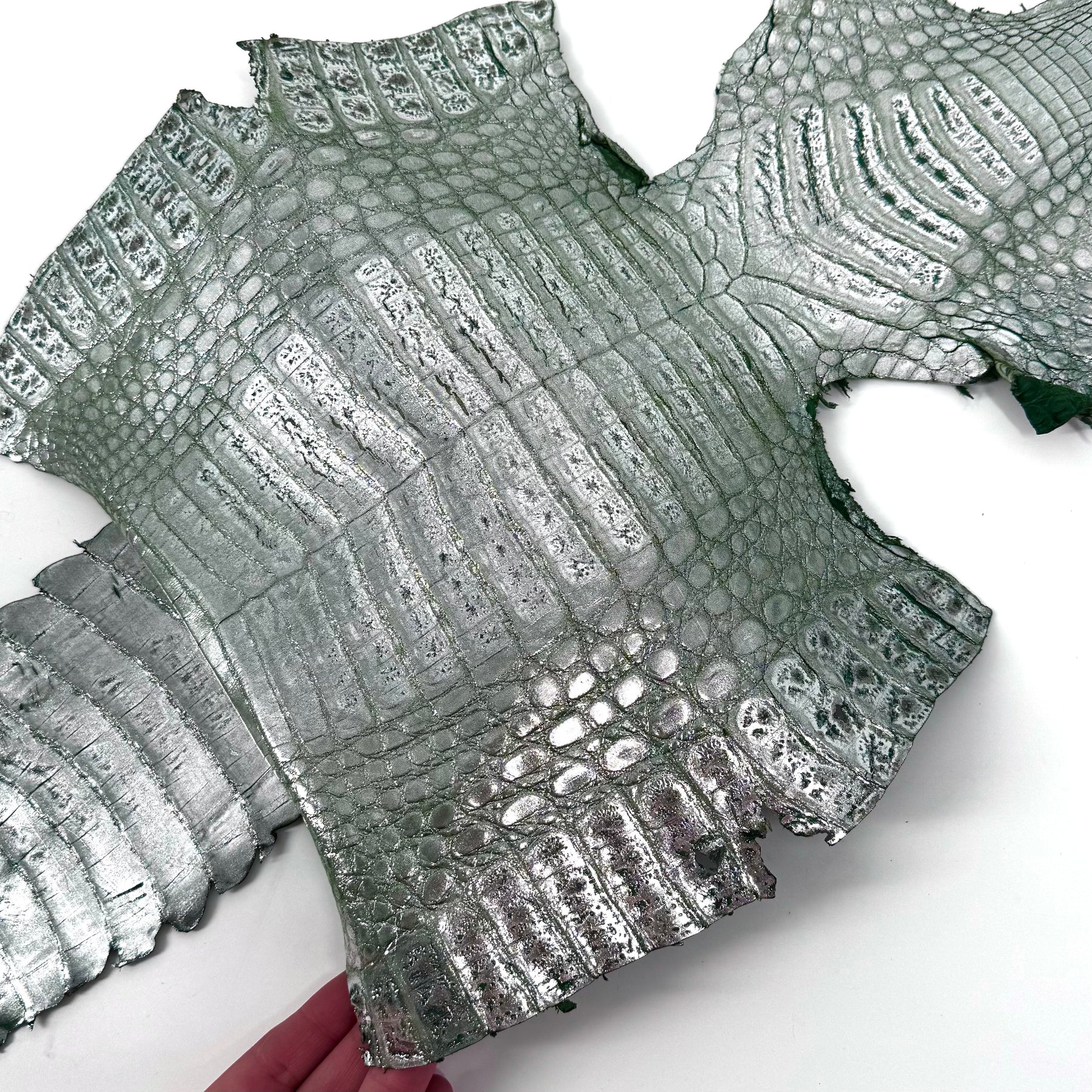 Metallic Caiman Crocodile - only 5 per color | Sale