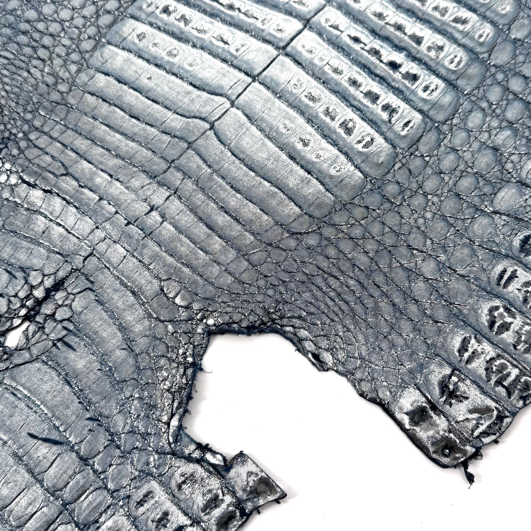 Metallic Caiman Crocodile - only 5 per color | Sale