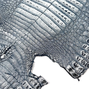 Metallic Caiman Crocodile - only 5 per color | Sale