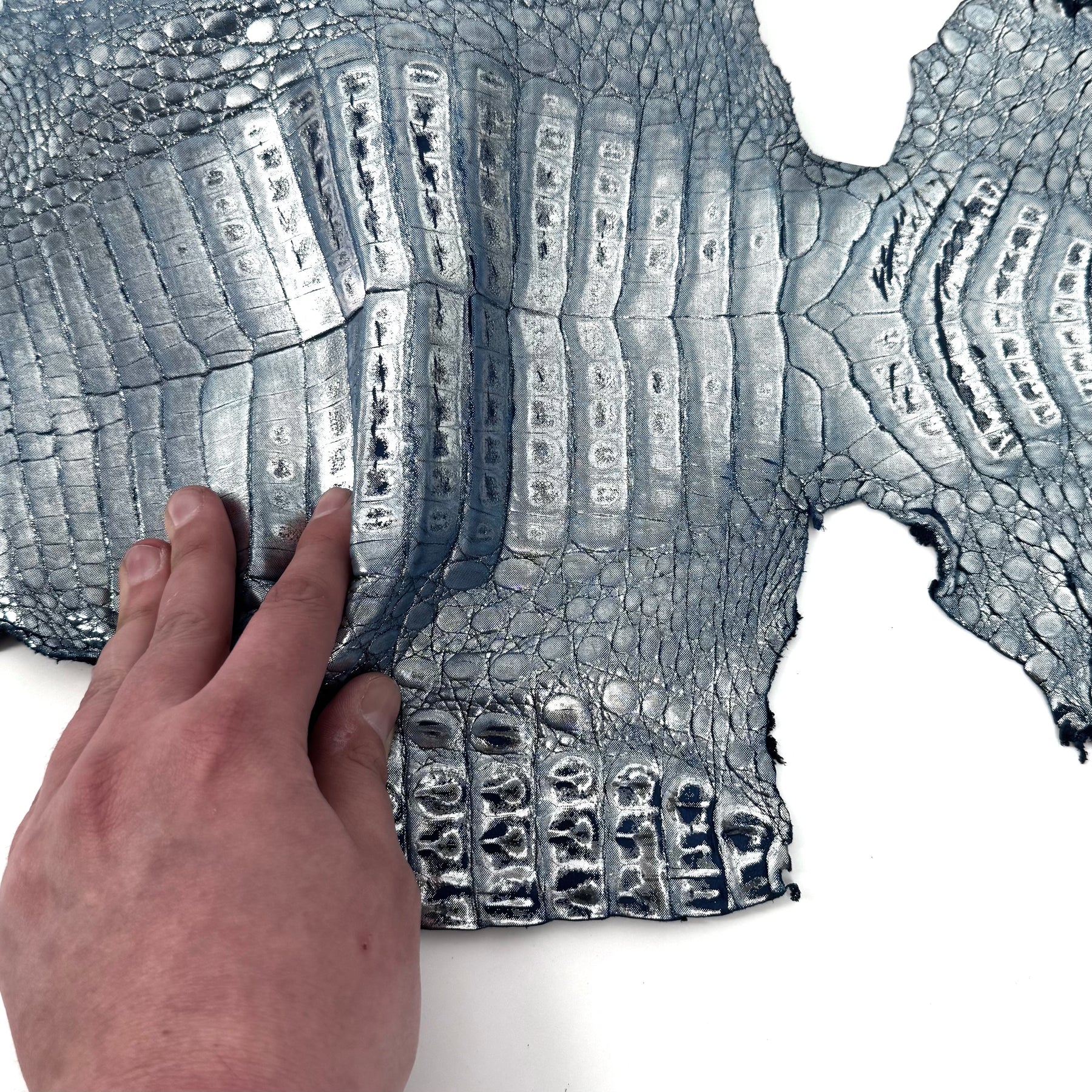 Metallic Caiman Crocodile - only 5 per color | Sale