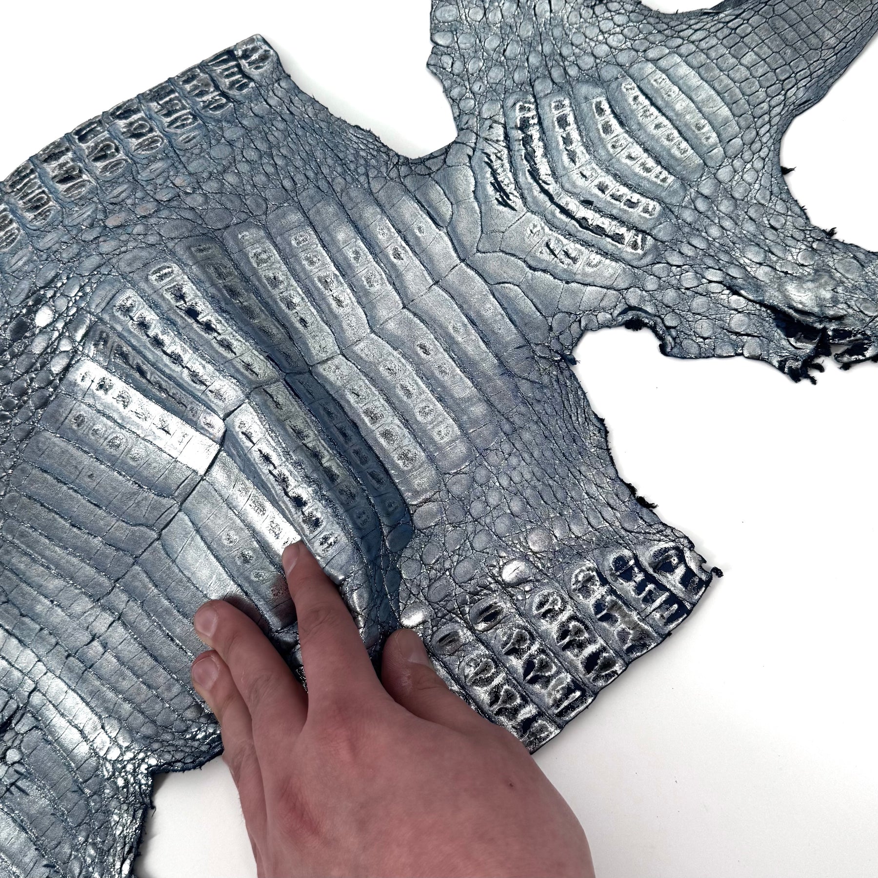 Metallic Caiman Crocodile - only 5 per color | Sale