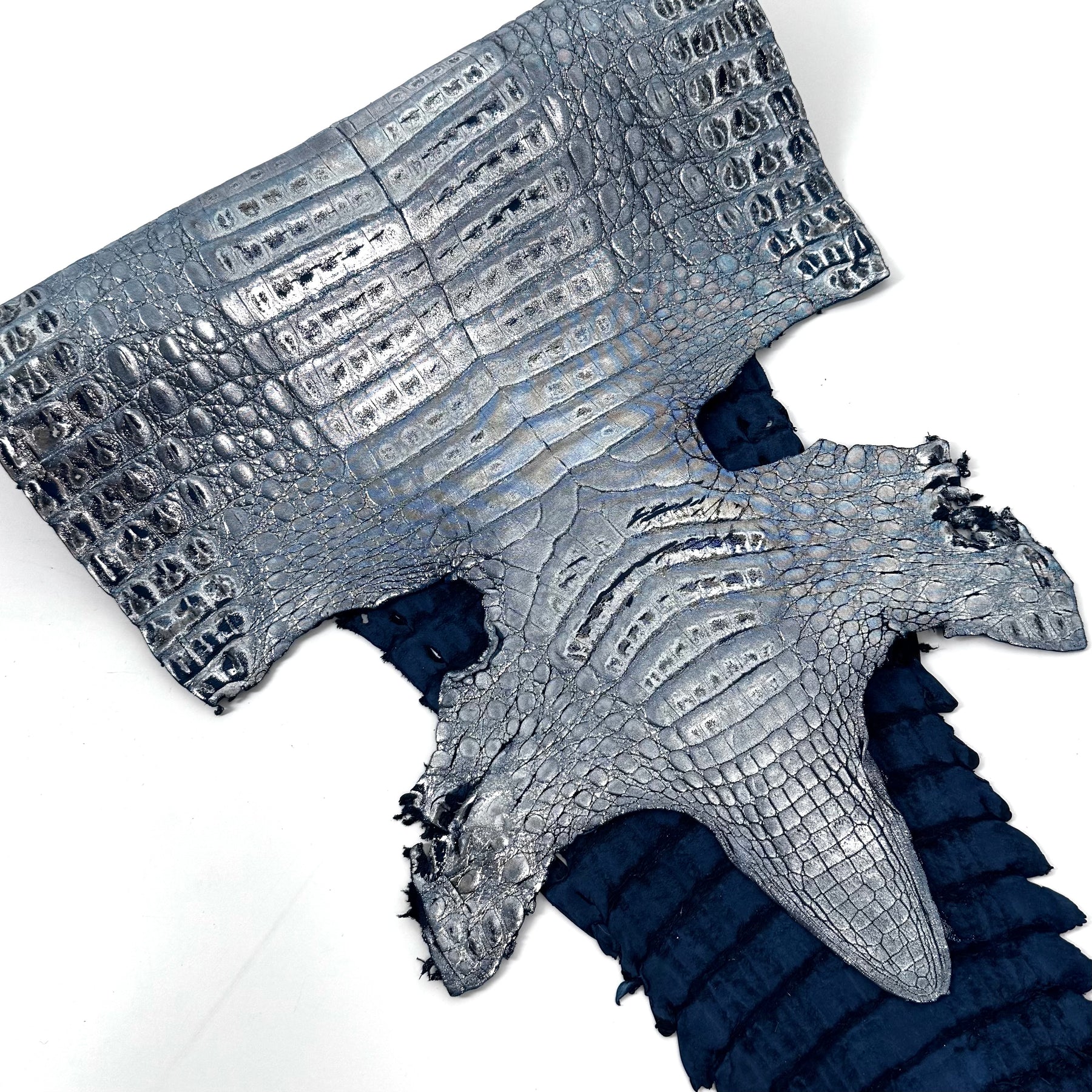 Metallic Caiman Crocodile - only 5 per color | Sale