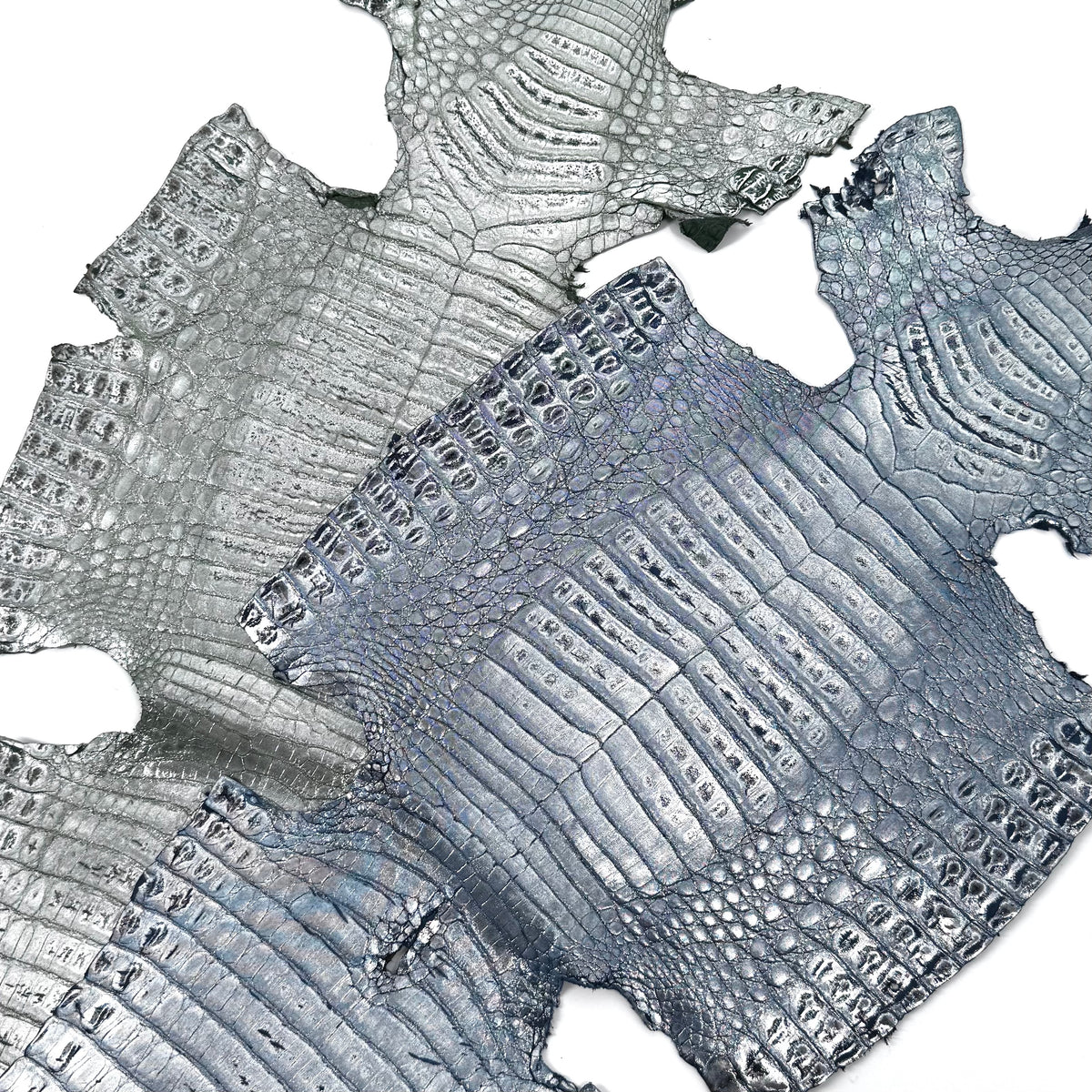 Metallic Caiman Crocodile - only 5 per color | Sale