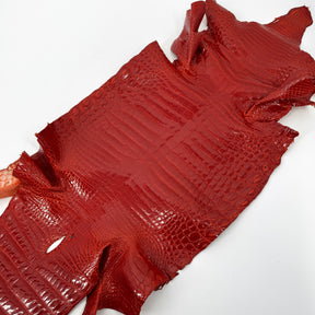 Glazed American Alligator in Crimson Red/Orange | 41 cm