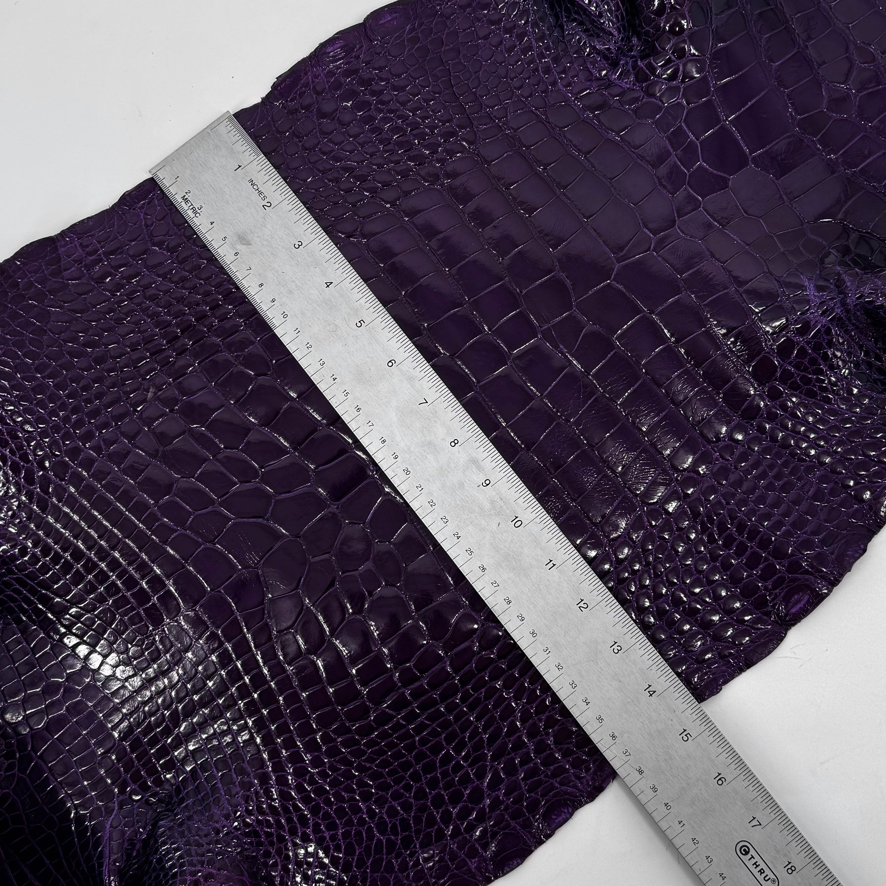 Glazed Wild American Alligator in Purple | 38 cm