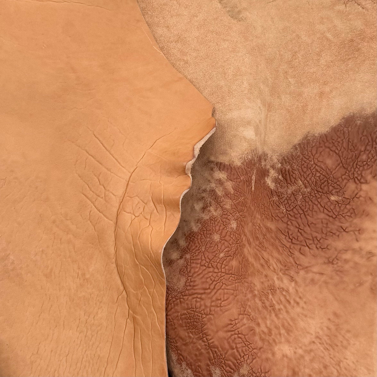 Crude Culatta Horse Double Butt Hide