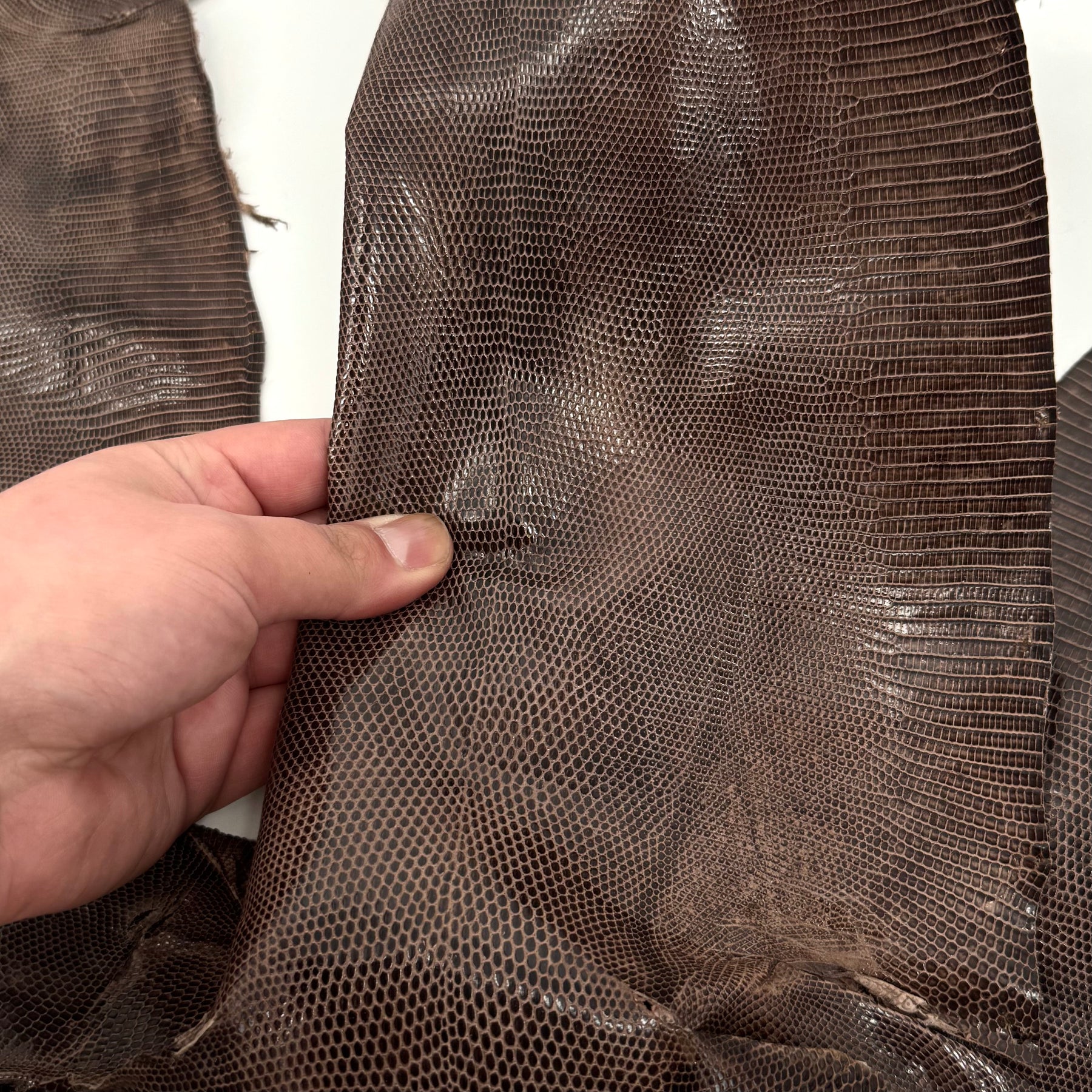 Pack of 3 Glazed Brown Lizard Skin Grade 2 | SALE
