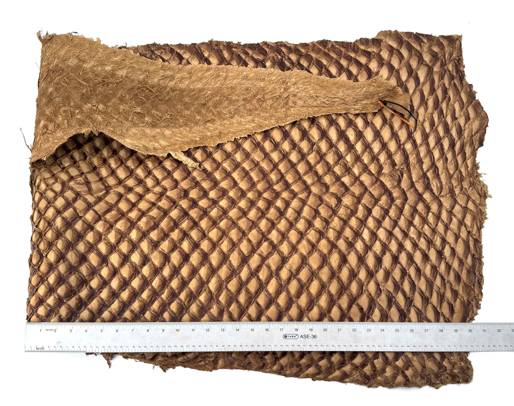 Caramel Inverted Pirarucu Fish Leather