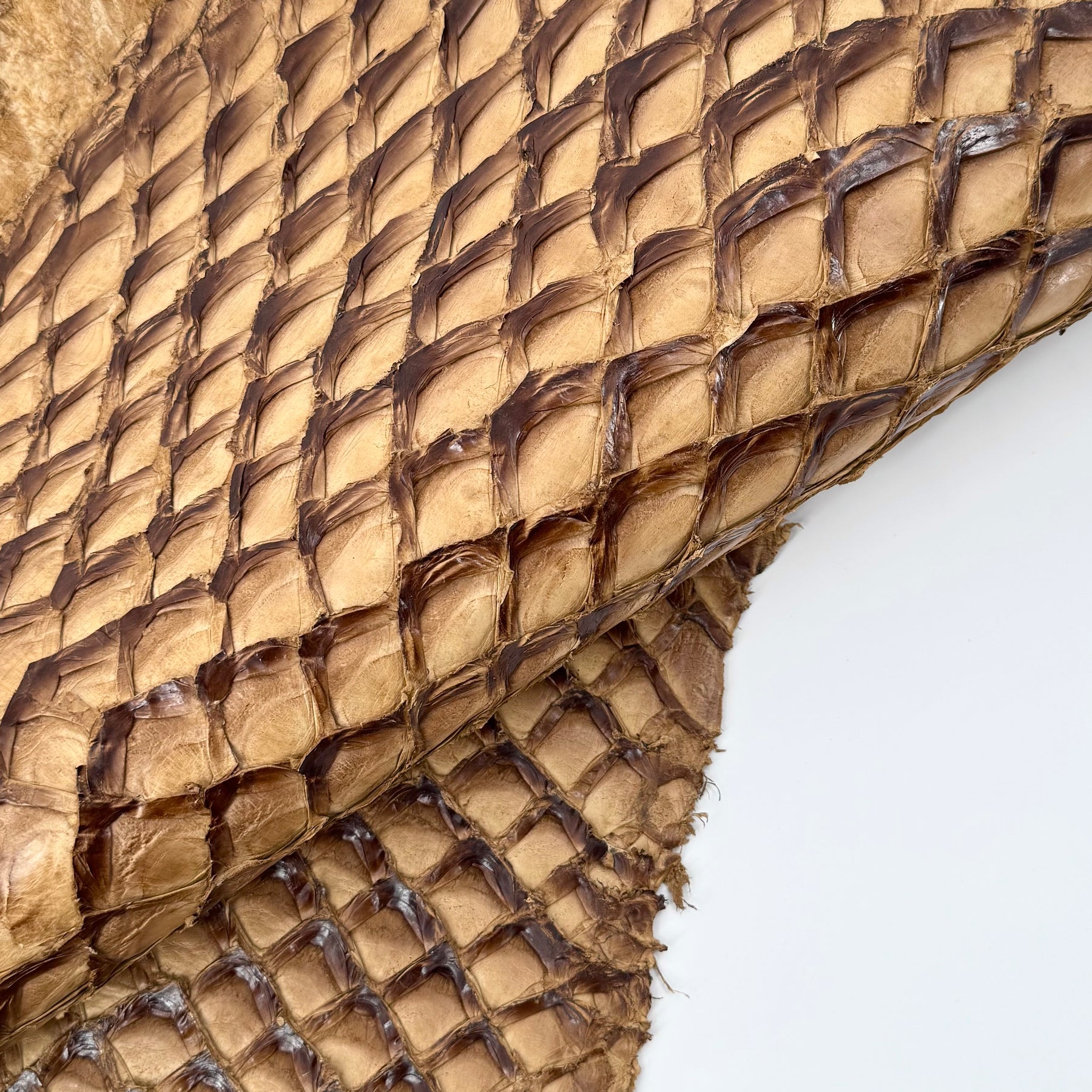 Caramel Inverted Pirarucu Fish Leather