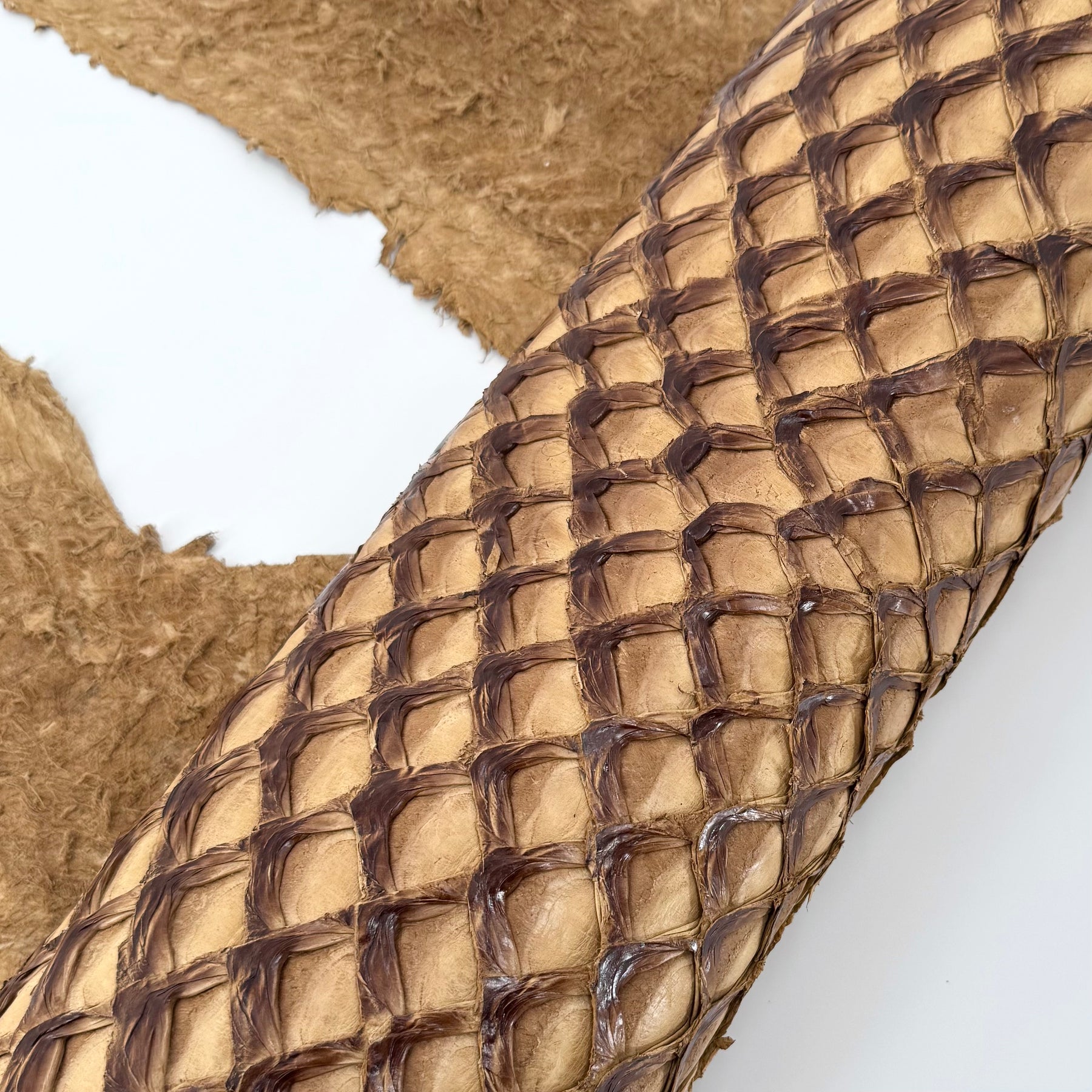Caramel Inverted Pirarucu Fish Leather