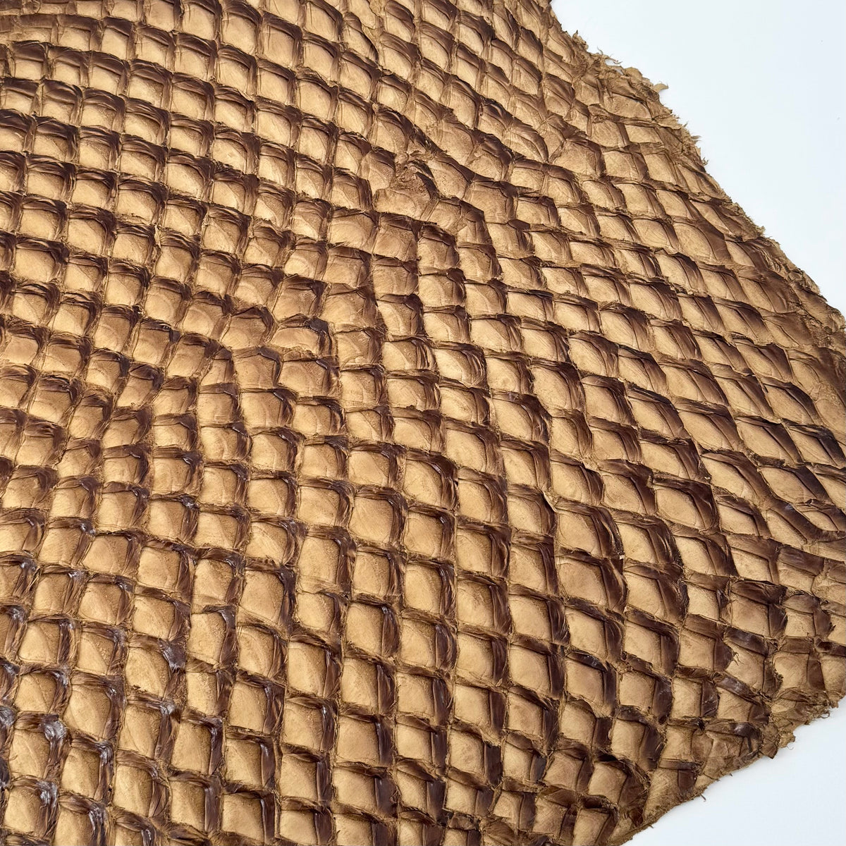 Caramel Inverted Pirarucu Fish Leather