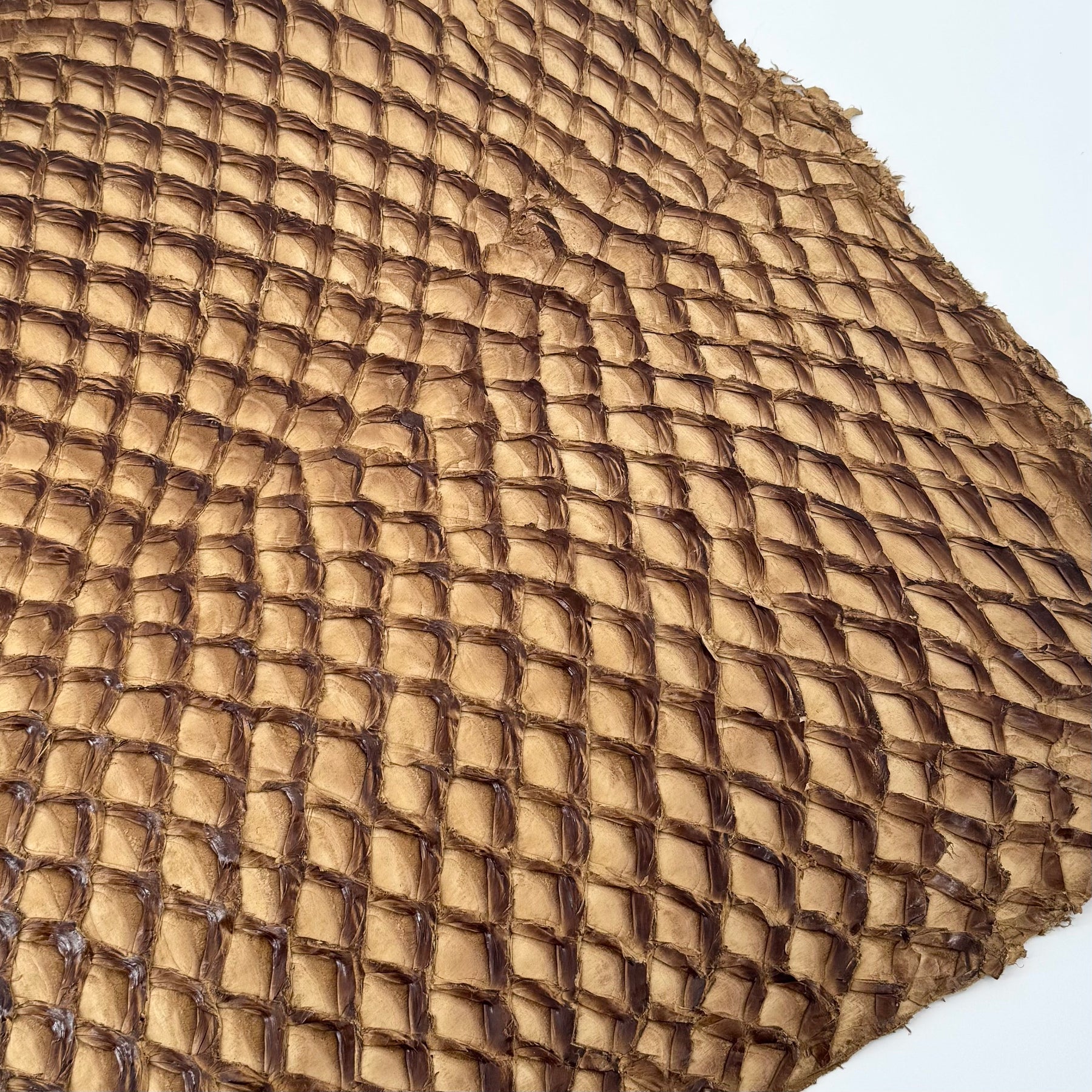 Caramel Inverted Pirarucu Fish Leather