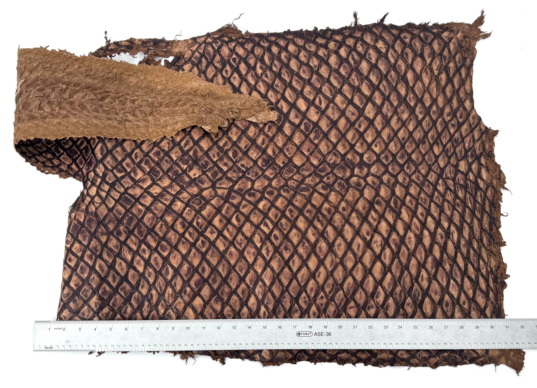 Charuto Brown Sugar Inverted Pirarucu Fish Leather