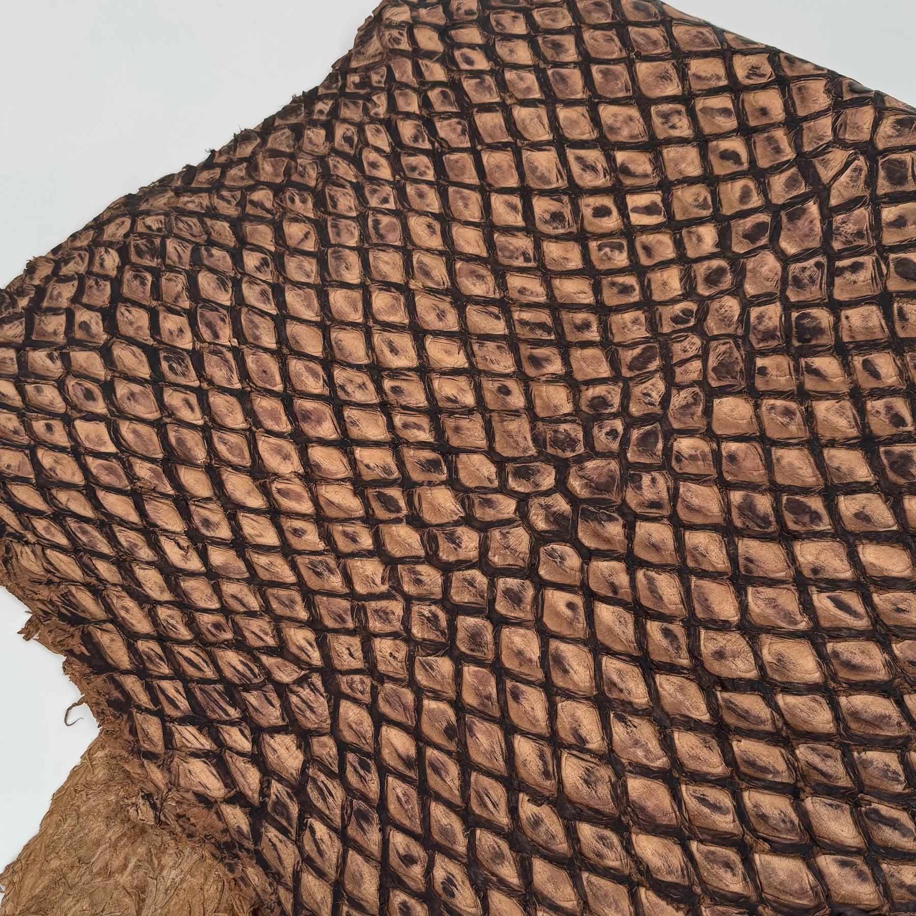 Charuto Brown Sugar Inverted Pirarucu Fish Leather