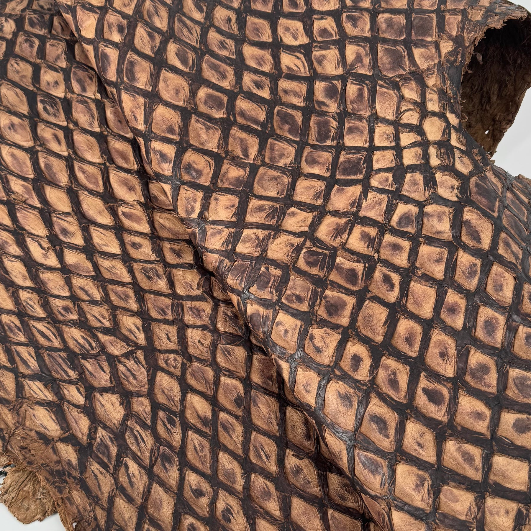 Charuto Brown Sugar Inverted Pirarucu Fish Leather