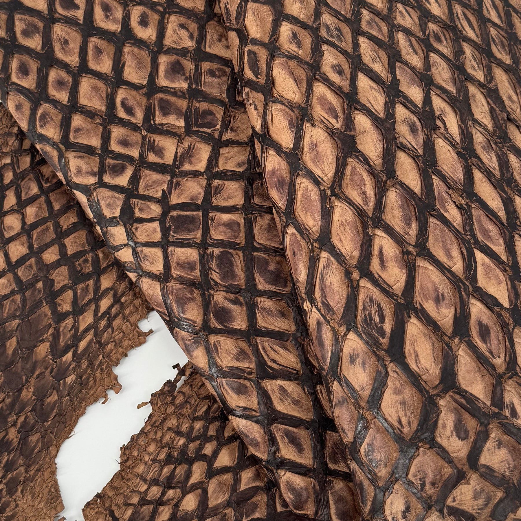 Charuto Brown Sugar Inverted Pirarucu Fish Leather