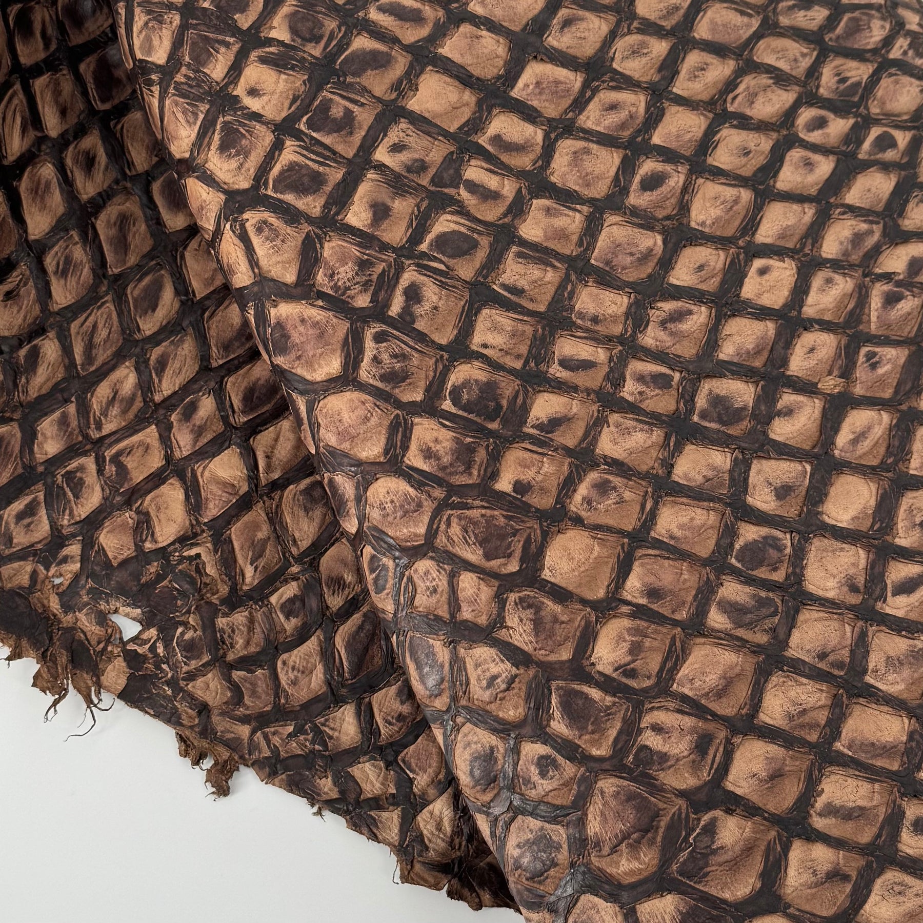 Charuto Brown Sugar Inverted Pirarucu Fish Leather