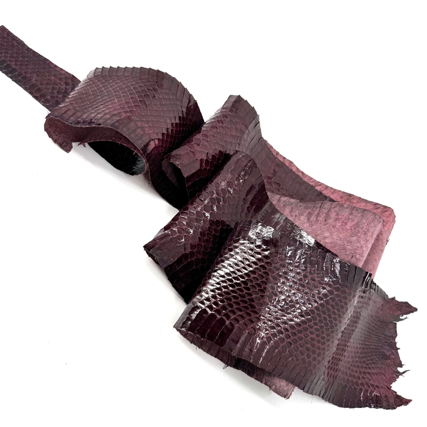 Dark Purple Whip Snake Skins | FINAL SALE