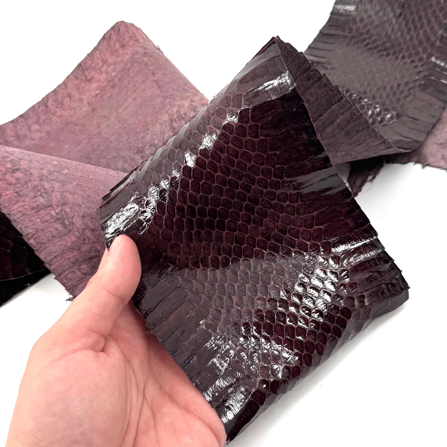 Dark Purple Whip Snake Skins | FINAL SALE