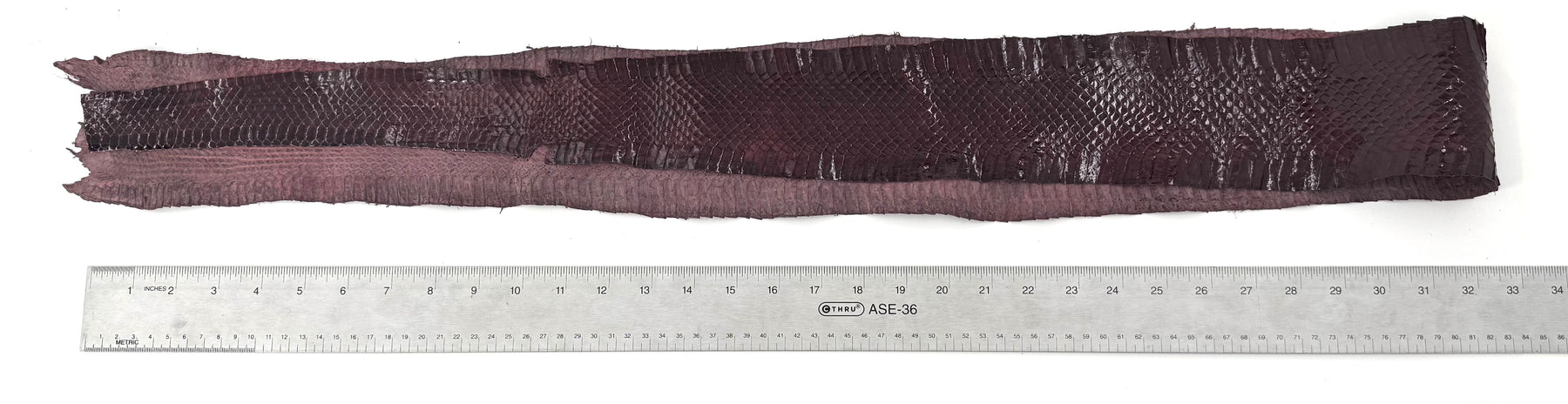 Dark Purple Whip Snake Skins | FINAL SALE
