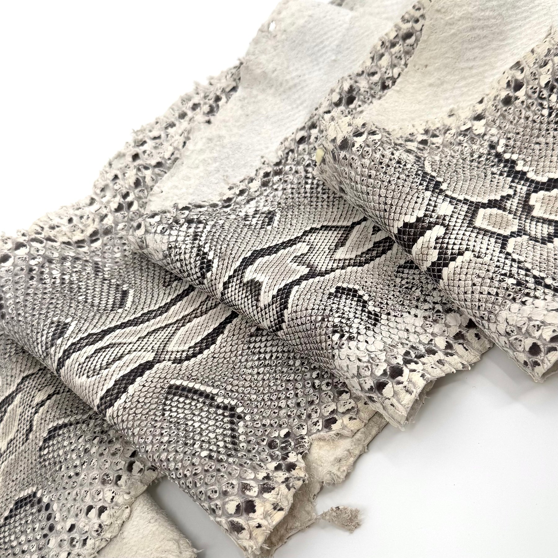 Natural Python Cut Z5 | Final Sale