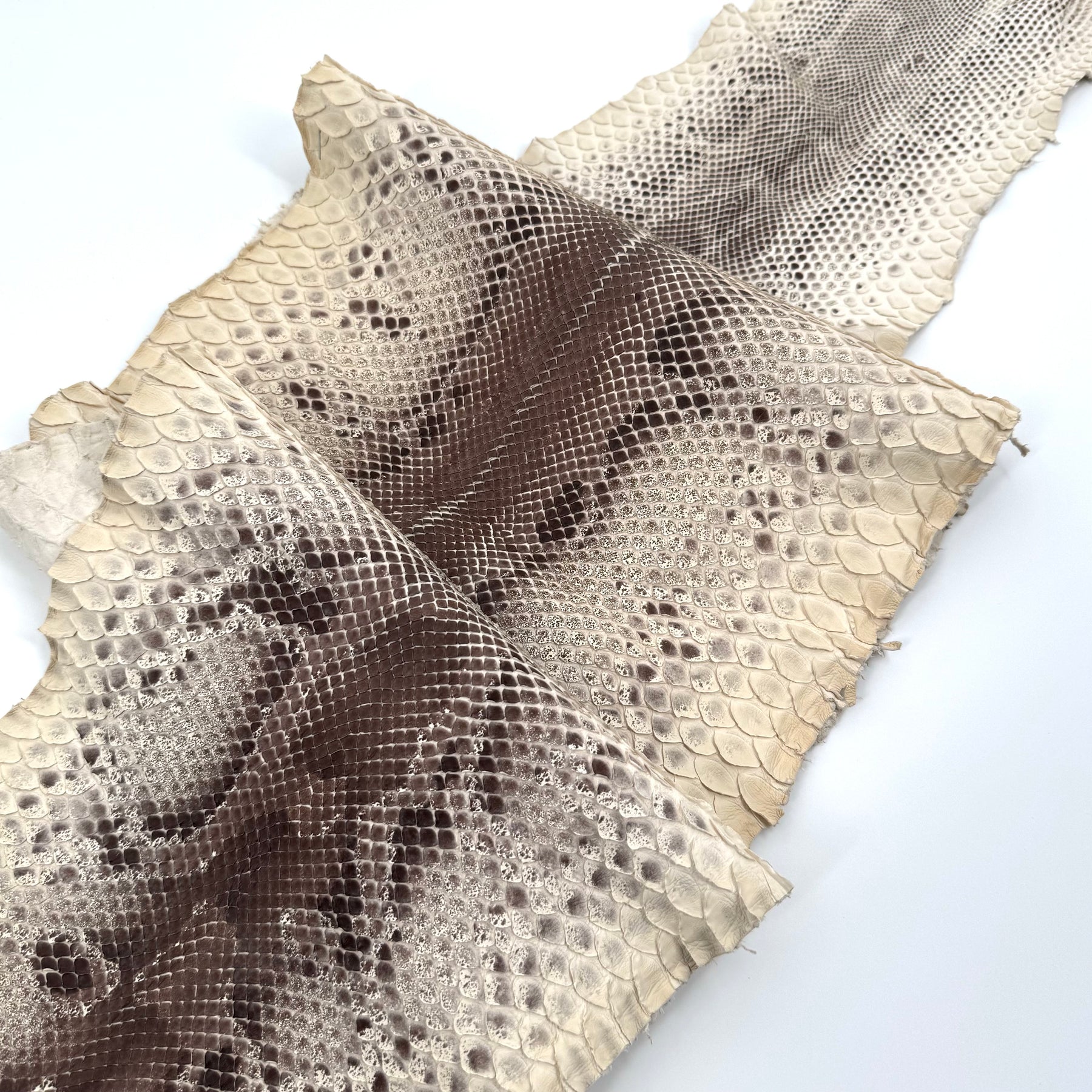 Natural Short Tail Python Cuts | Final Sale