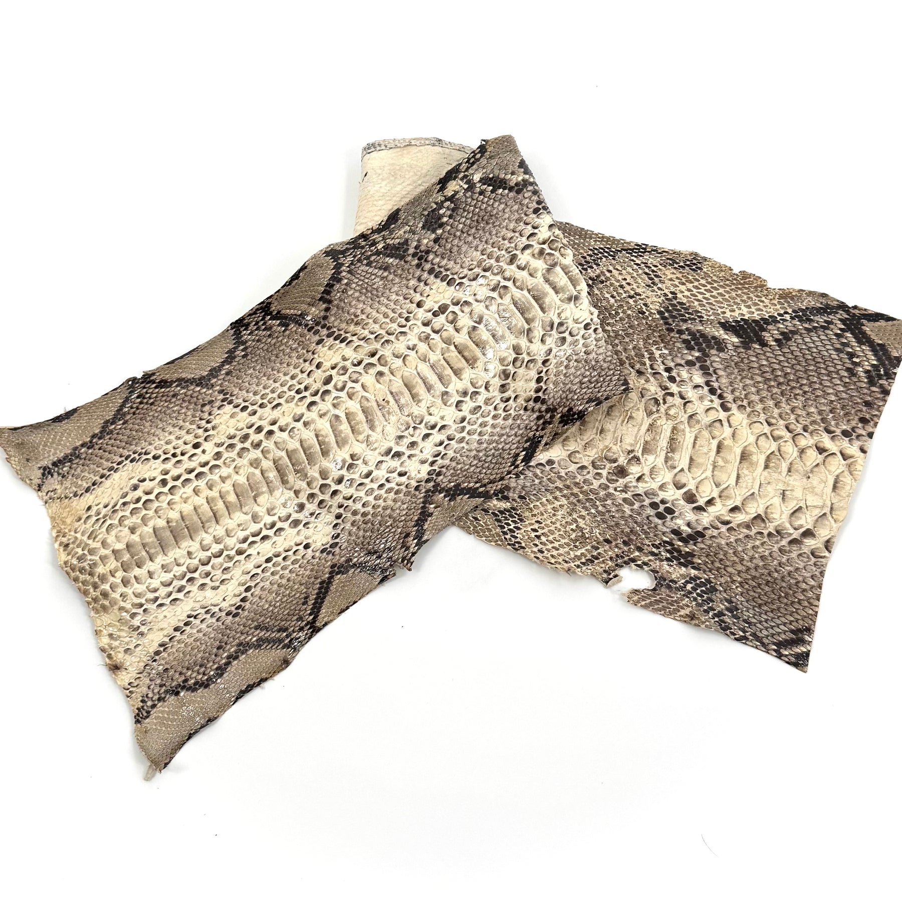 Short Python Cuts | Final Sale