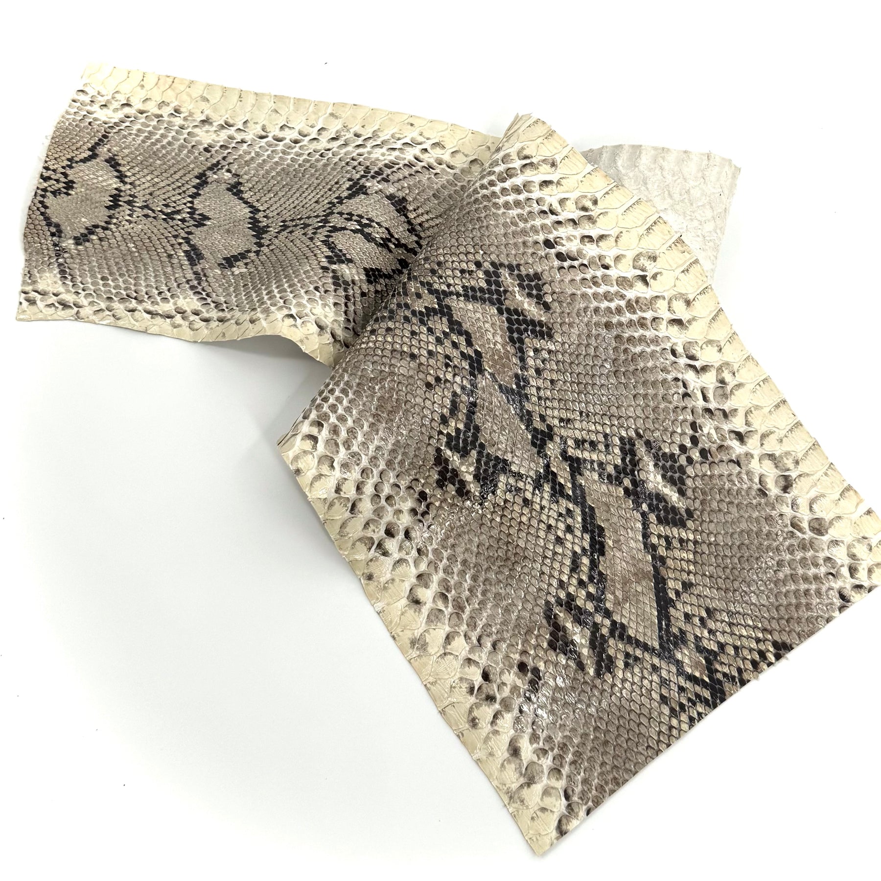 Short Python Cuts | Final Sale