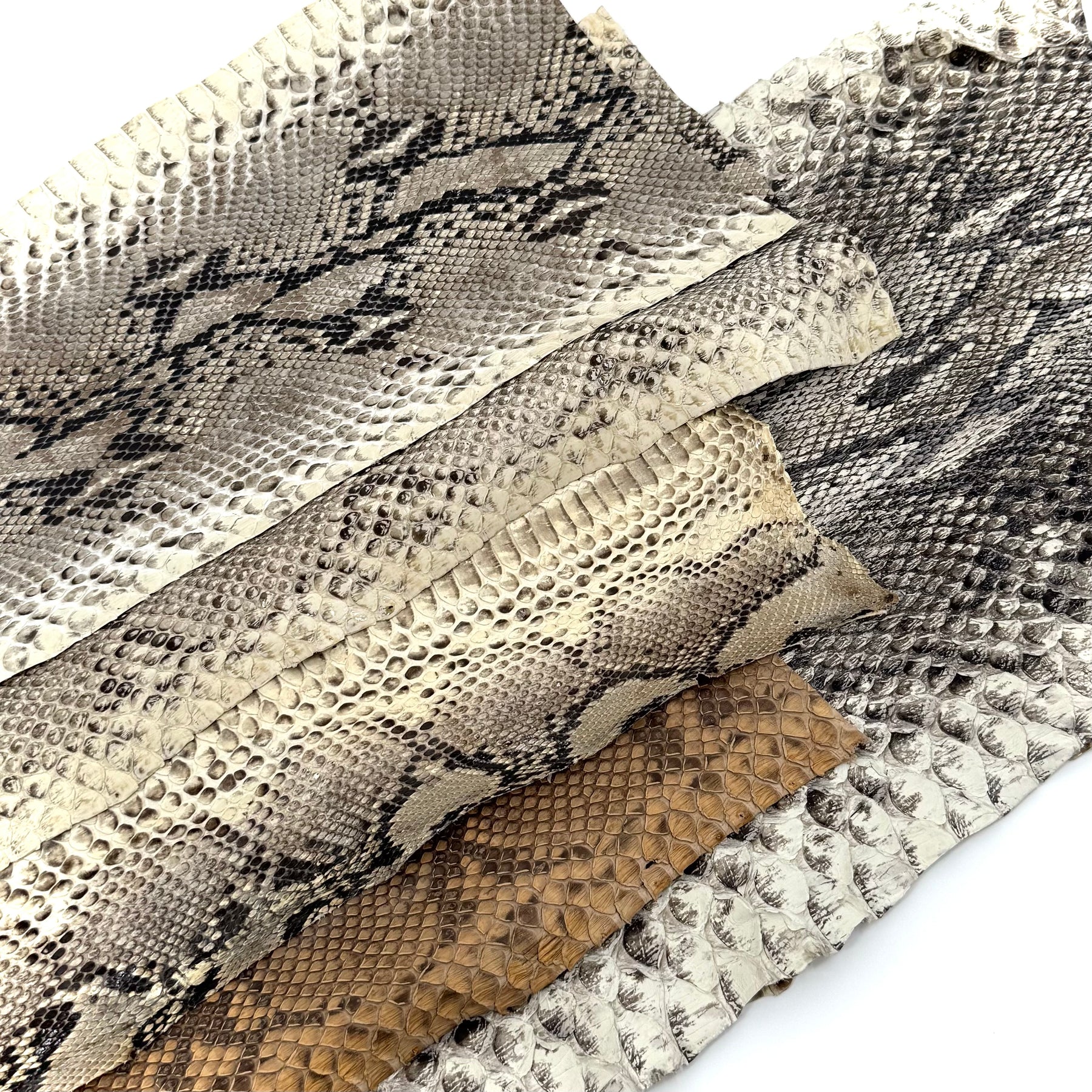 Short Python Cuts | Final Sale