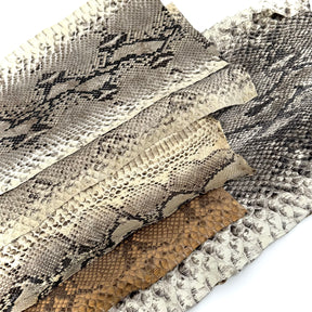 Short Python Cuts | Final Sale