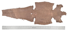 Sandy Dunes Metallic Caiman - Only 20 skins available | Sale
