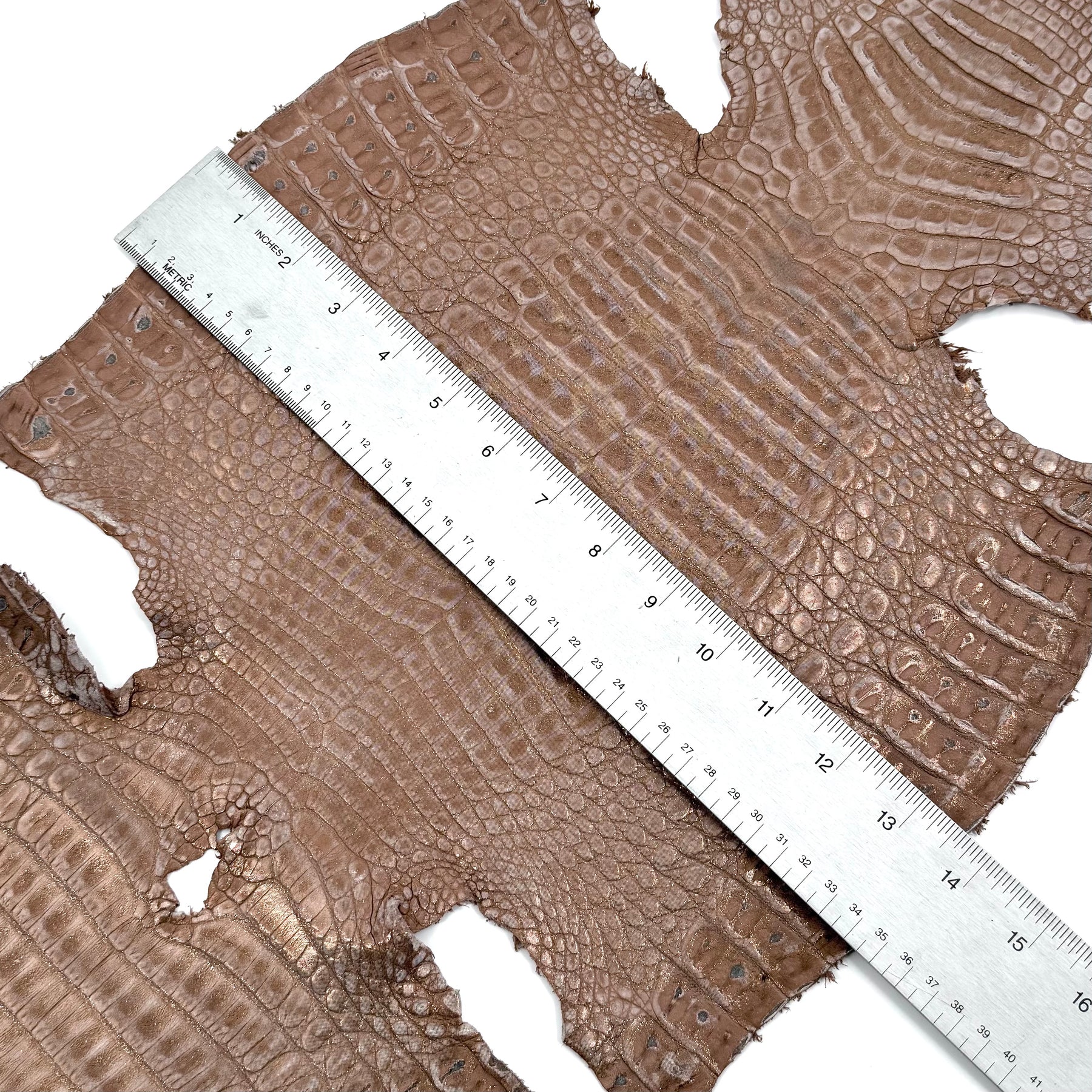 Sandy Dunes Metallic Caiman - Only 20 skins available | Sale