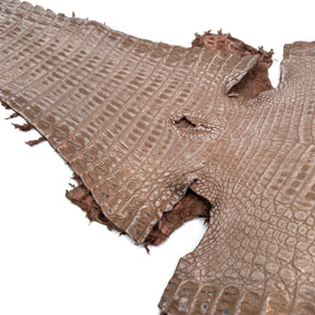 Sandy Dunes Metallic Caiman - Only 20 skins available | Sale