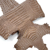 Sandy Dunes Metallic Caiman - Only 20 skins available | Sale