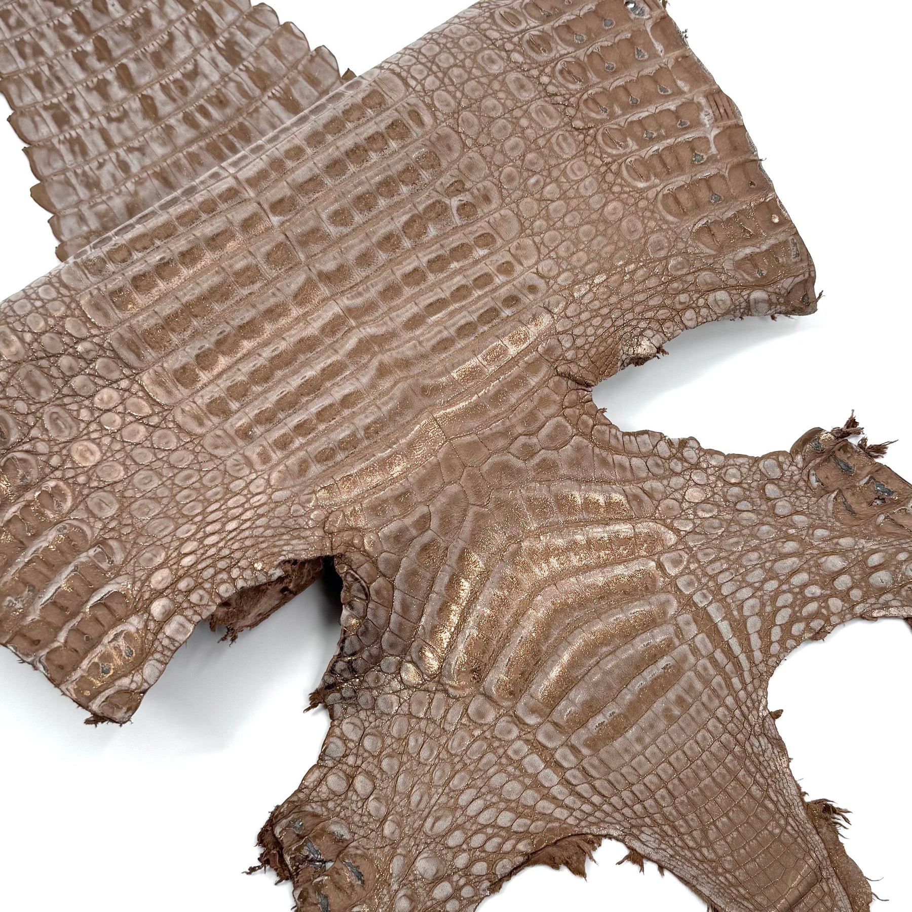 Sandy Dunes Metallic Caiman - Only 20 skins available | Sale