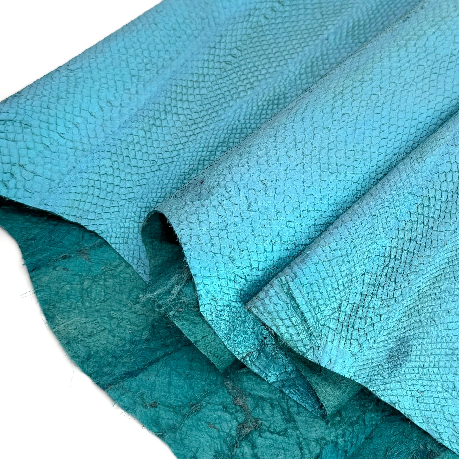 Teal Salmon Plate Leather