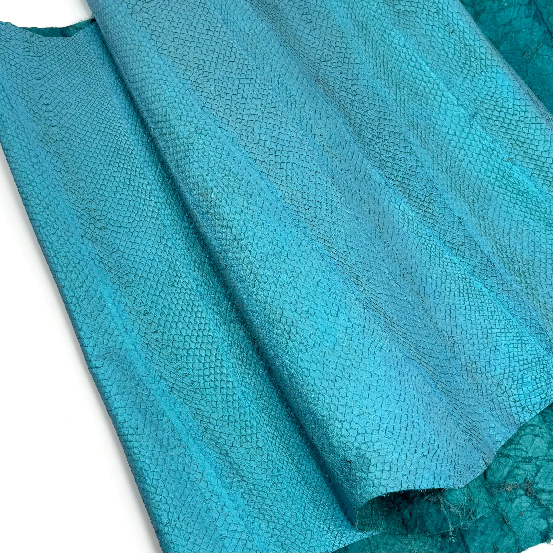 Teal Salmon Plate Leather