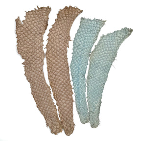 Bundle of 4 Multicolor Pirarucu Tails 10P | SALE