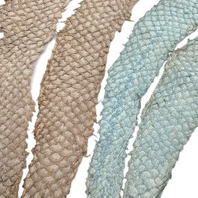 Bundle of 4 Multicolor Pirarucu Tails 10P | SALE