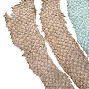 Bundle of 4 Multicolor Pirarucu Tails 10P | SALE