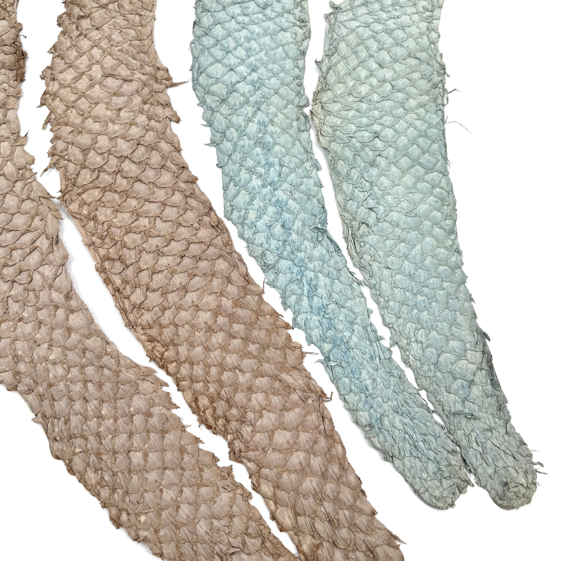 Bundle of 4 Multicolor Pirarucu Tails 10P | SALE