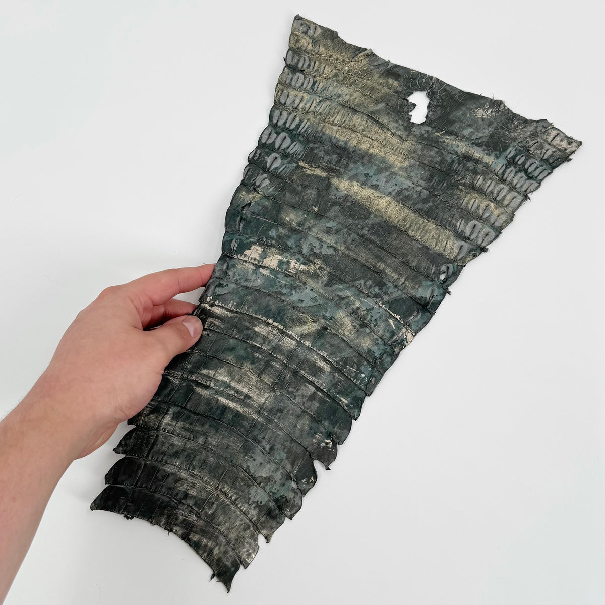 Individual Caiman Tails | SALE