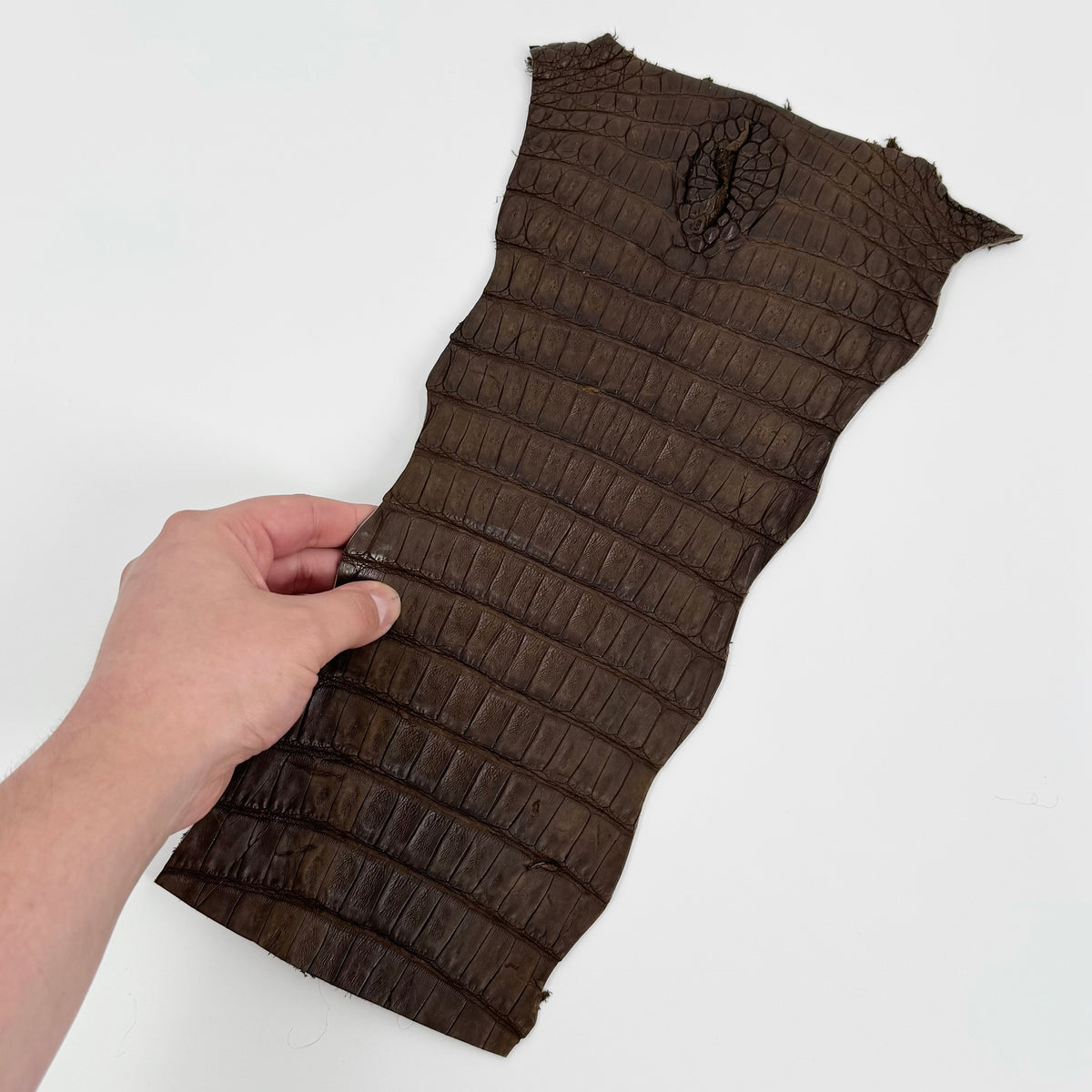 Individual Caiman Tails | SALE