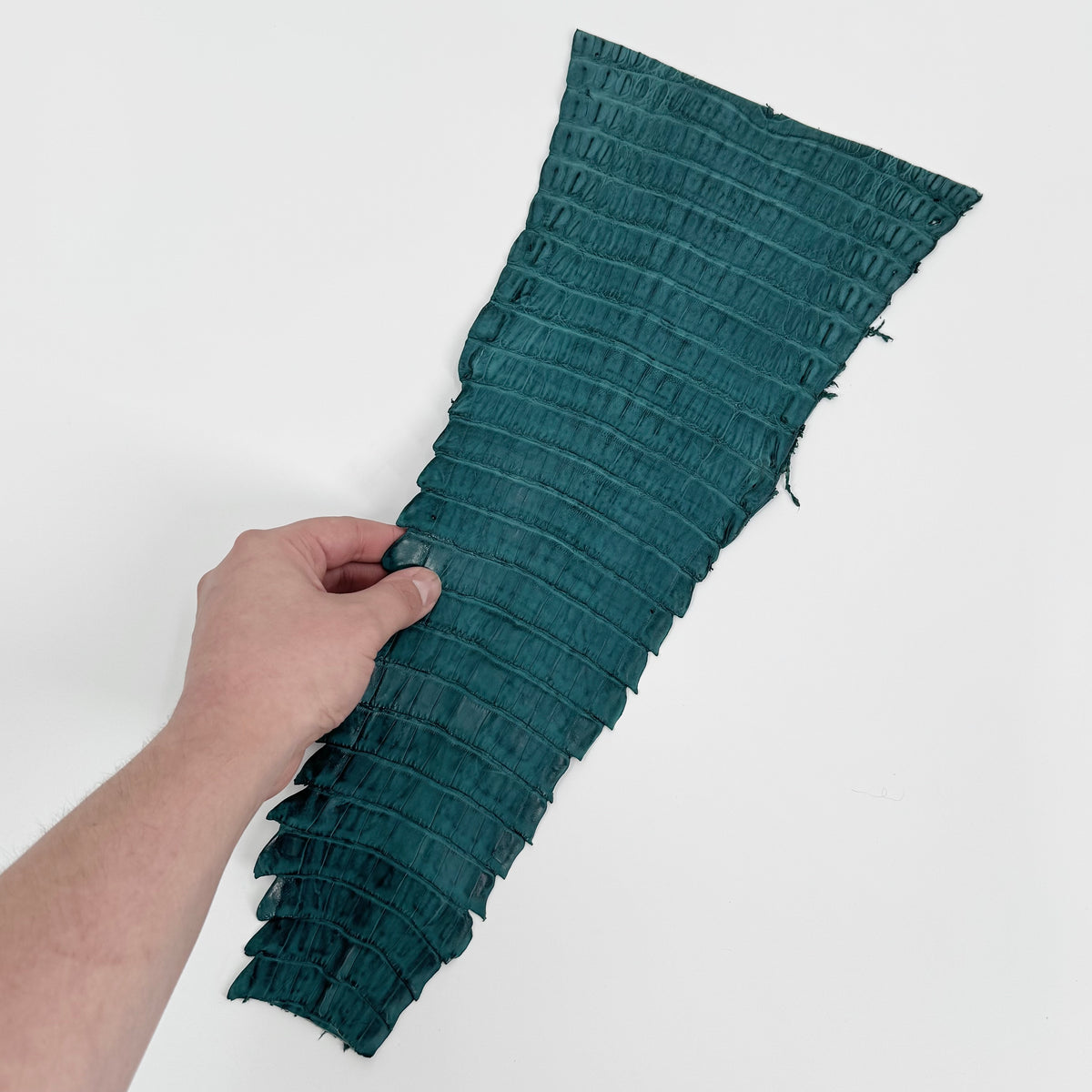 Individual Caiman Tails | SALE
