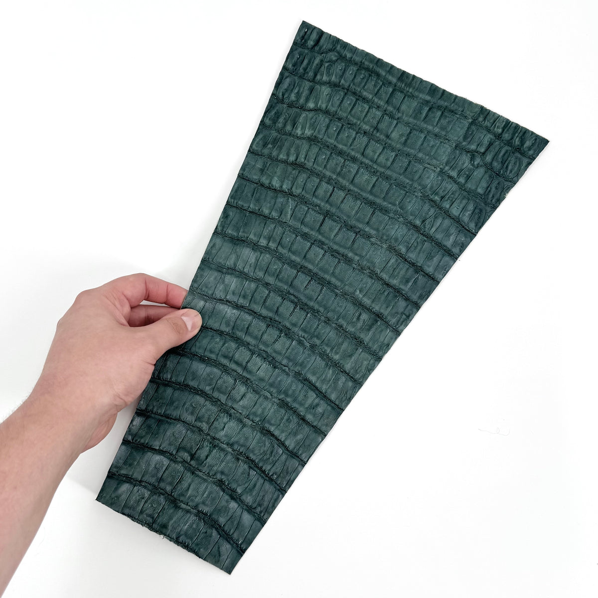 Individual Caiman Tails | SALE