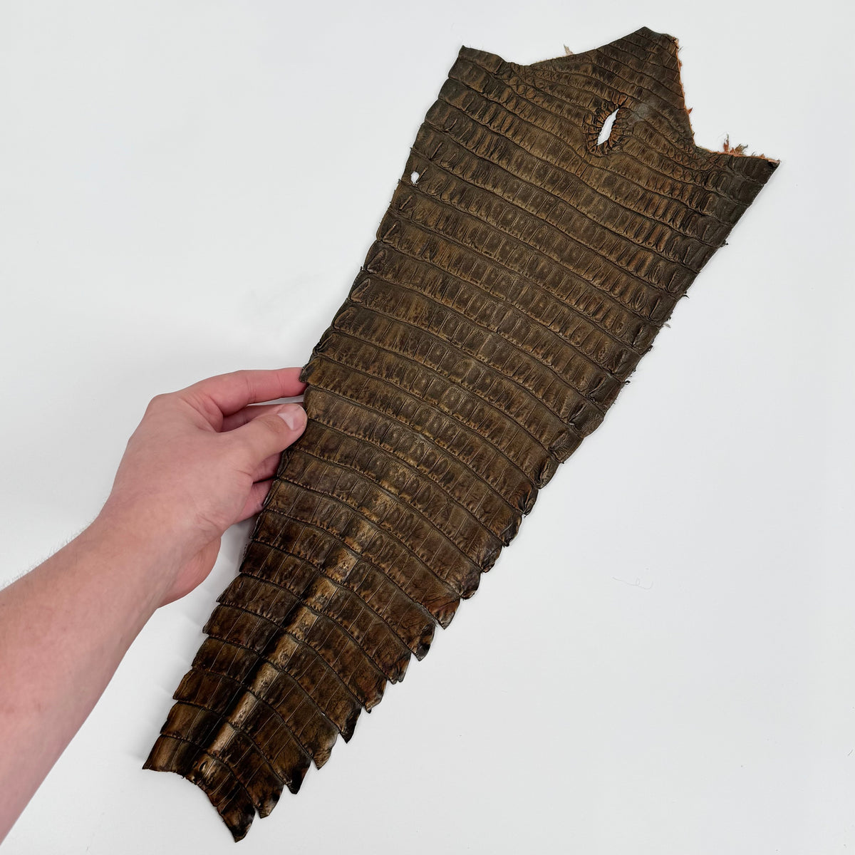 Individual Caiman Tails | SALE