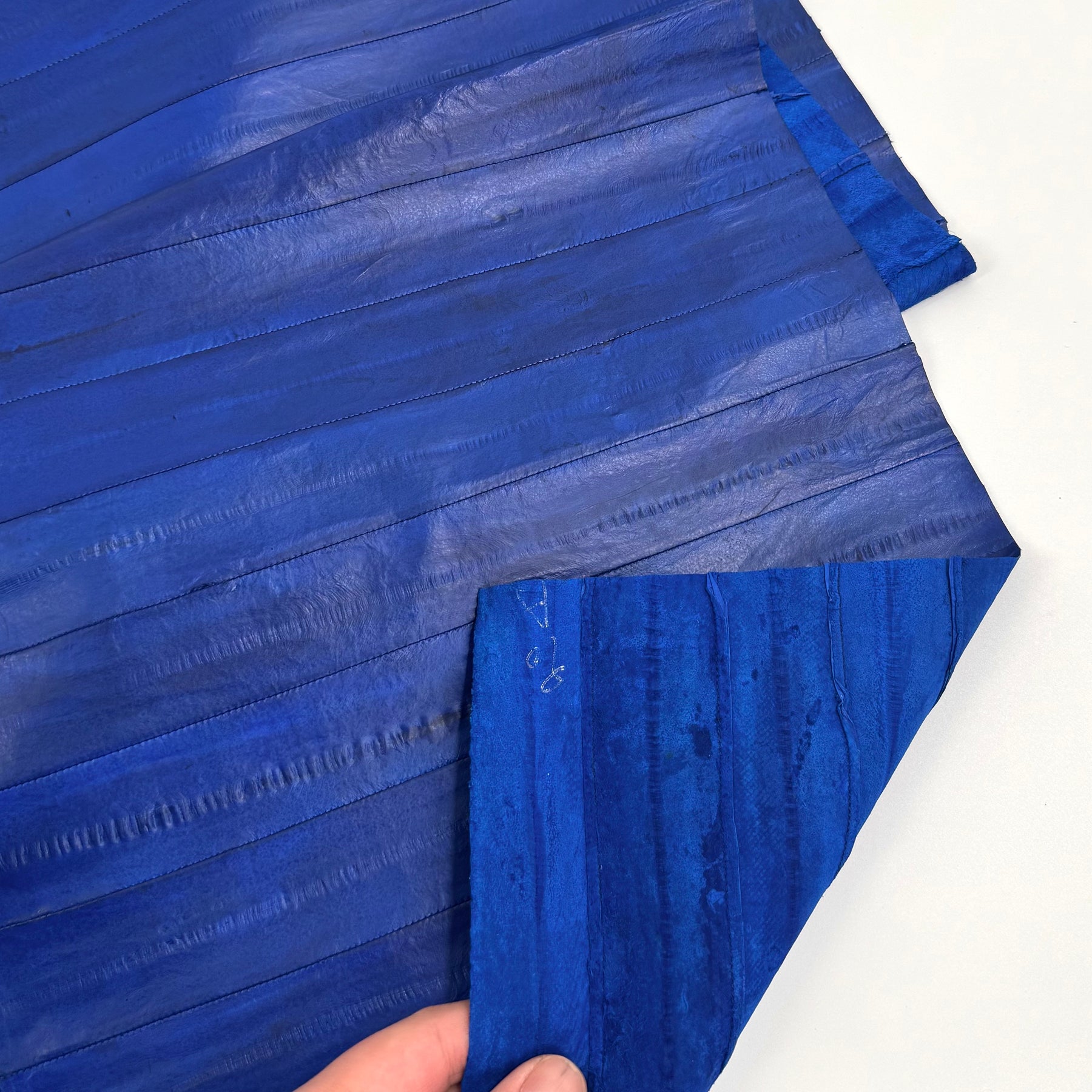 Electric Blue Eel Plate - 8 available | SALE